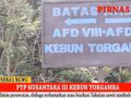 PTP NUSANTARA III KEBUN TORGAMBA AFDELING VIII KURANG PERAWATAN, TUKULAN SAWIT BANYAK DIBIARKAN