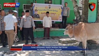 Polres Labuhanbatu Selatan Serahkan Sapi Qurban ke Pesantren Ell Firdaus Cikampak