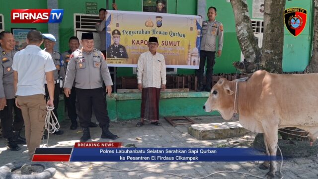 Polres Labuhanbatu Selatan Serahkan Sapi Qurban ke Pesantren Ell Firdaus Cikampak