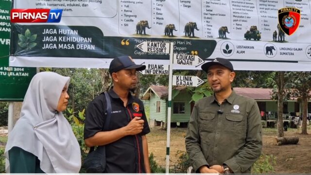 Sejarah Taman Wisata Alam Holiday Resort (Gajah-Gajah) di Torgamba. Dan Proses Pembebasan Hutan Konservasi oleh Satgas PKH